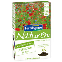 Fleurs pour fertiliser le sol